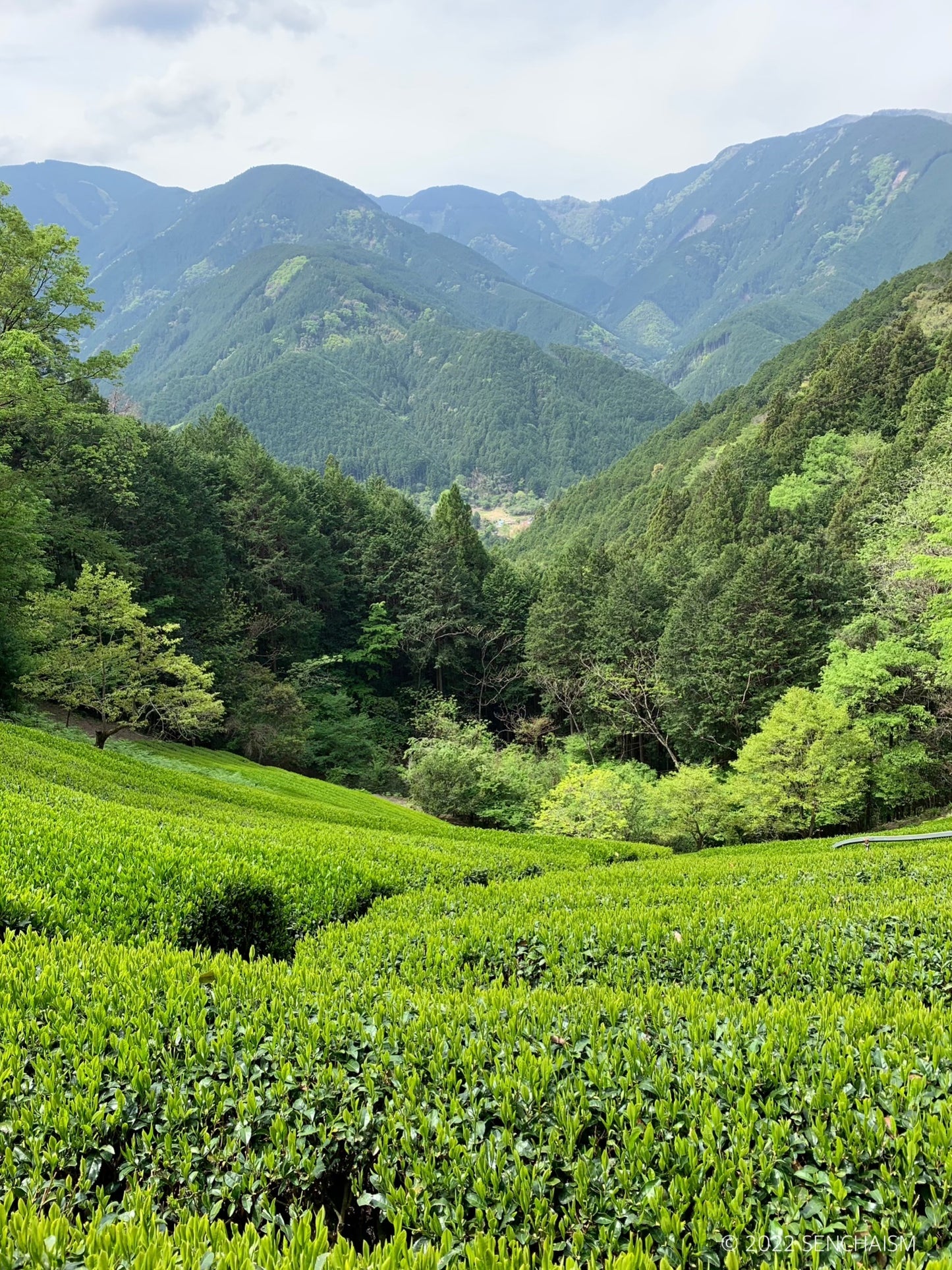 SUMMER BREEZE　山峡 / Yamakai