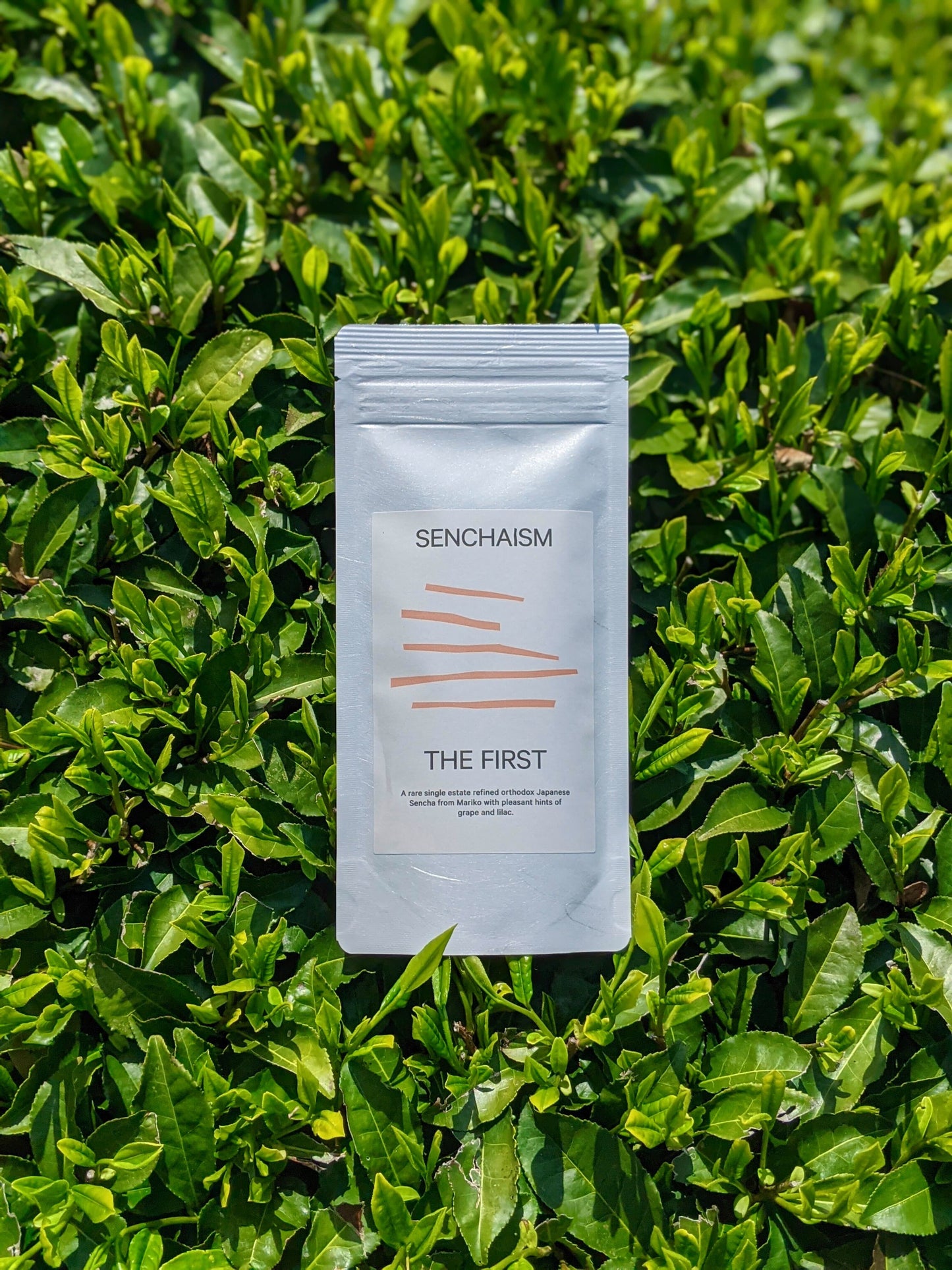 THE FIRST Kondōwase Sencha