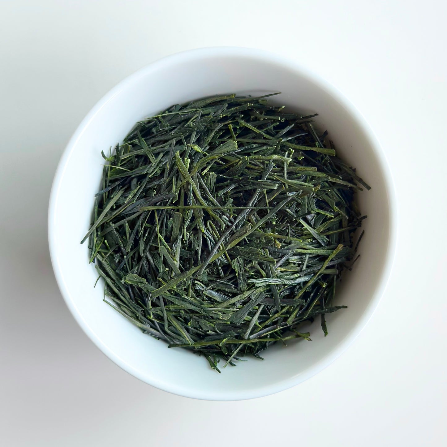 THE TRAILBLAZER 2024 Seed-propagated Sencha